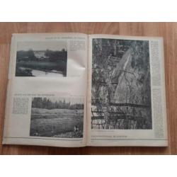 Zoo is de wereld platenboek