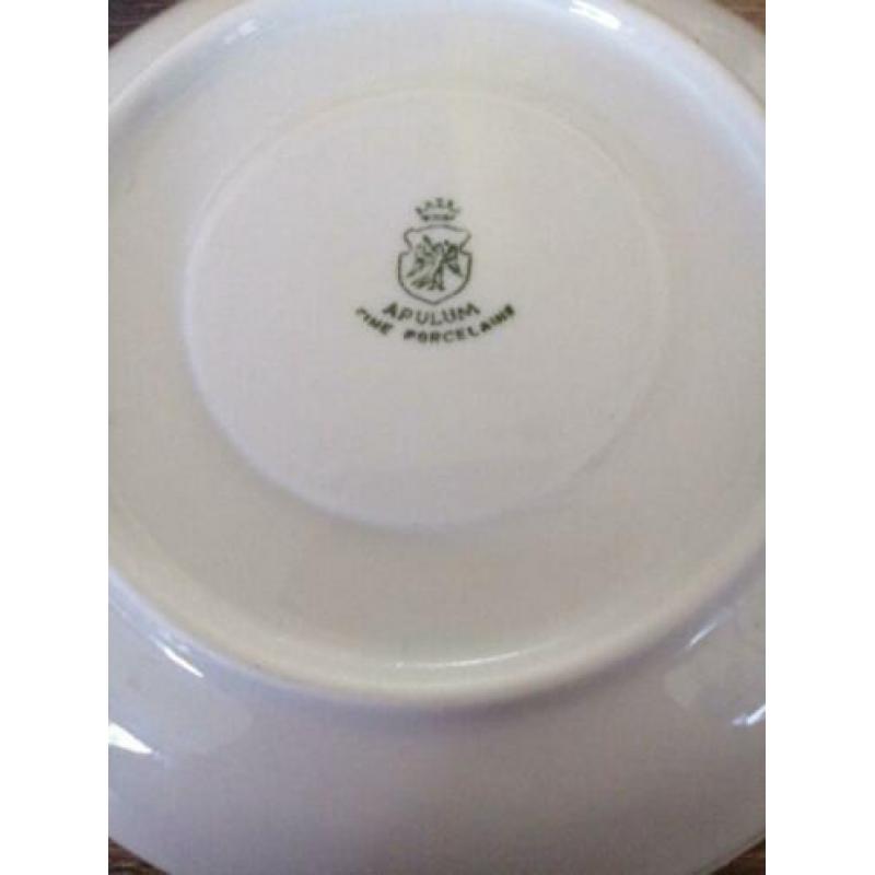 Apulum servies 15 delig