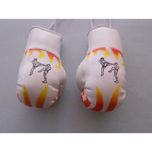 mini bokshandschoentjes boksen kickboksen thai muay thai