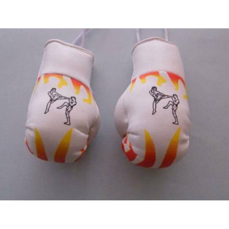 mini bokshandschoentjes boksen kickboksen thai muay thai