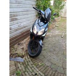 Scooter 2009