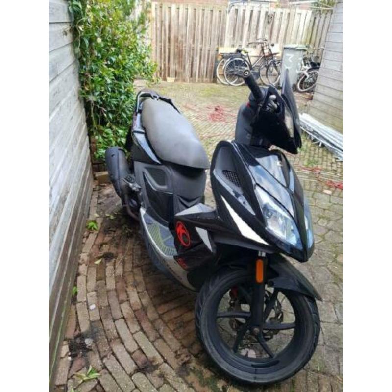 Scooter 2009