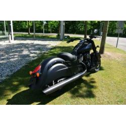 Indian Chief Dark Horse