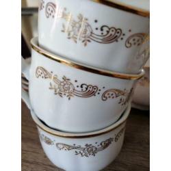 Apulum servies 15 delig