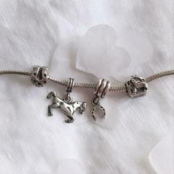 Zilveren bedels, charms met paard en hoefijzer, prijs p.s.