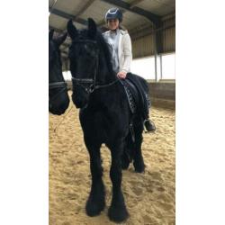 Lieve betrouwbare Fries te koop
