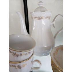 Apulum servies 15 delig