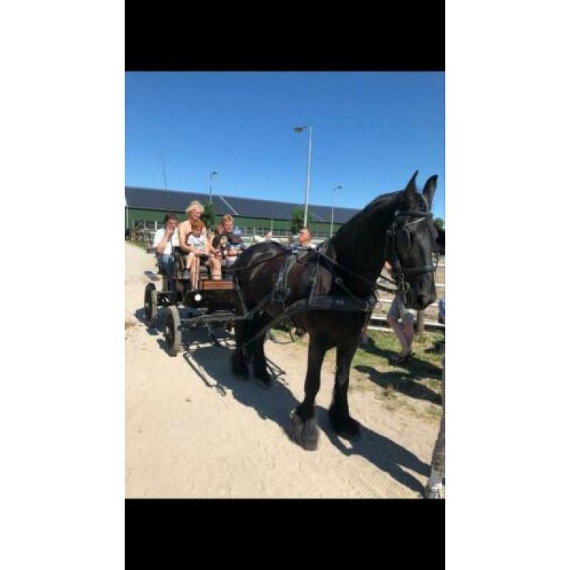 Lieve betrouwbare Fries te koop