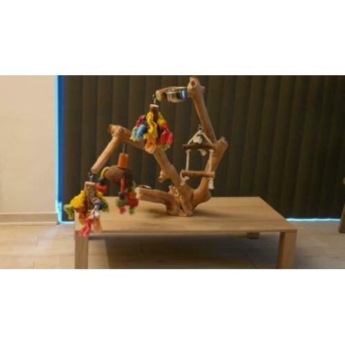 Javoboom op tafel