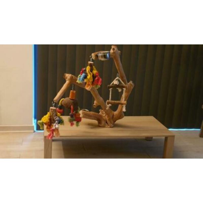 Javoboom op tafel