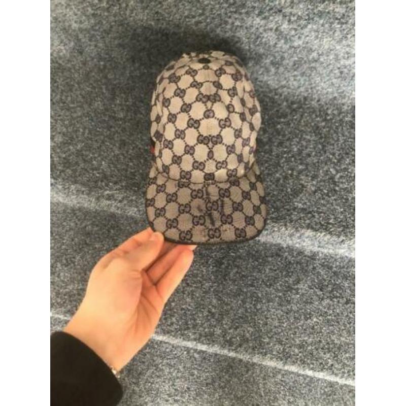 Gucci pet