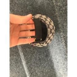 Gucci pet