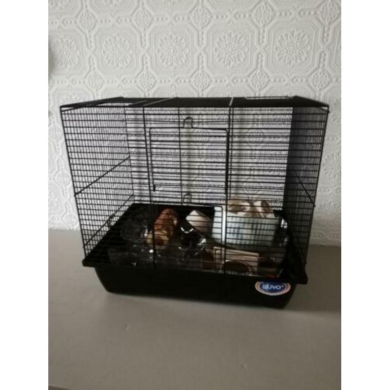Hamsterkooi met toebehoren