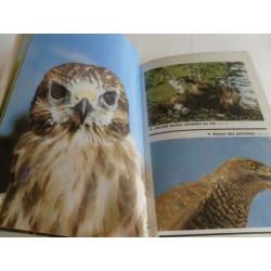 Franse gids roofvogels en uilen , RAPACES diurnes et nocturn