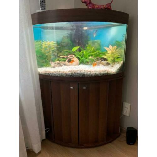 Complete zoetwateraquarium
