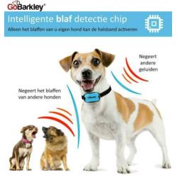 Nieuwe Anti-Blafband - Geavanceerde 2 in 1 Hondenhalsband