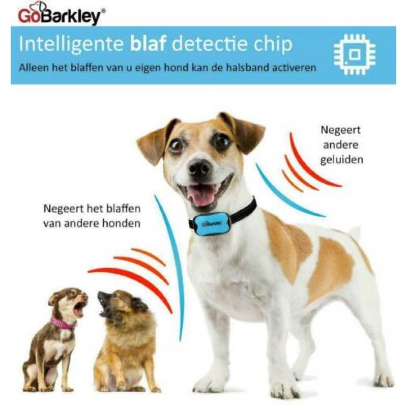 Nieuwe Anti-Blafband - Geavanceerde 2 in 1 Hondenhalsband