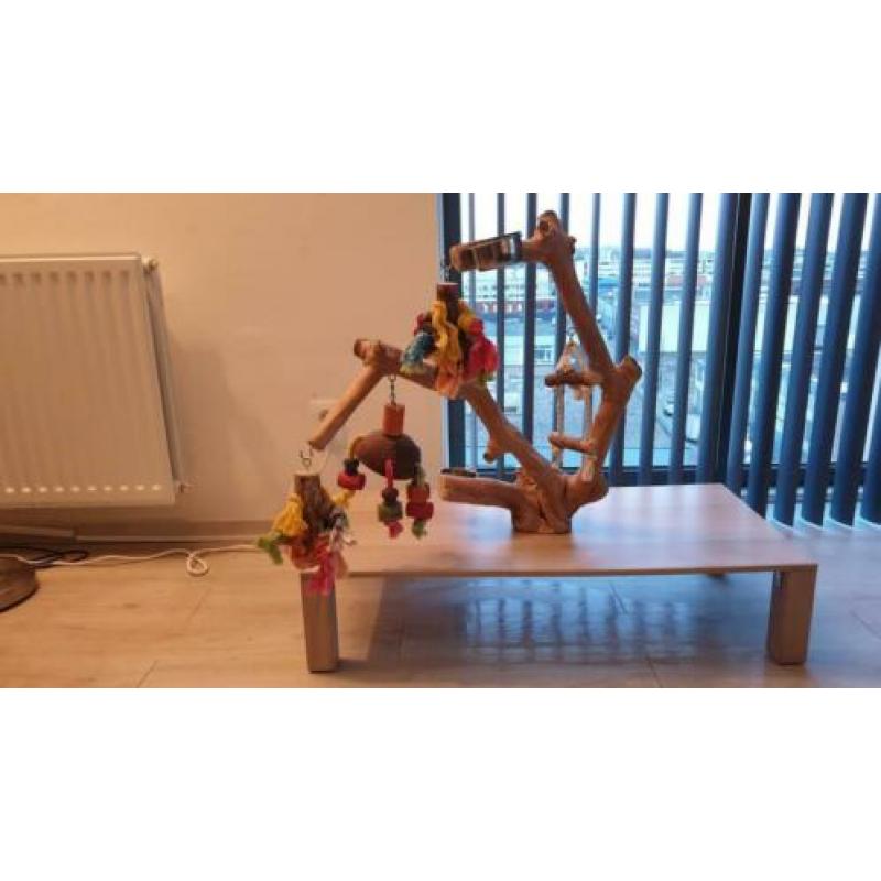 Javoboom op tafel