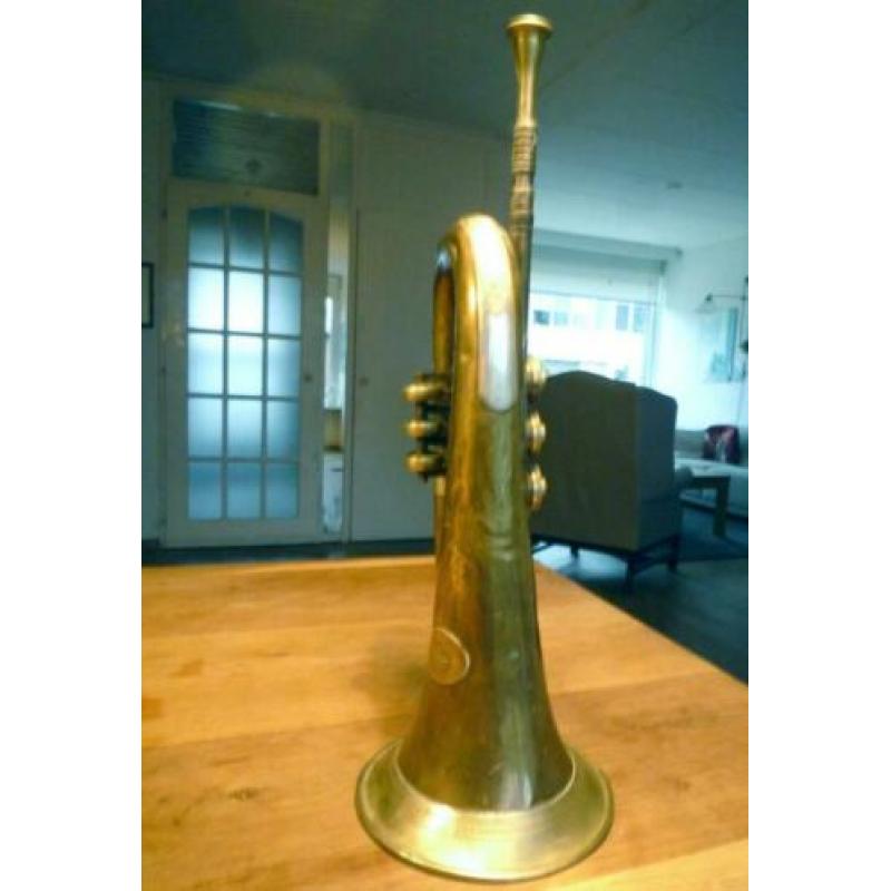 blaas instrumenten