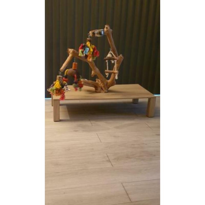 Javoboom op tafel