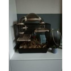 Hamsterkooi met toebehoren