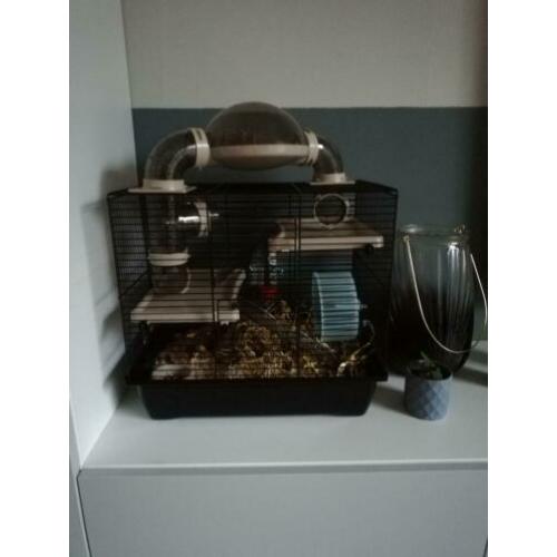 Hamsterkooi met toebehoren