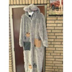 Carnavals kleding dames