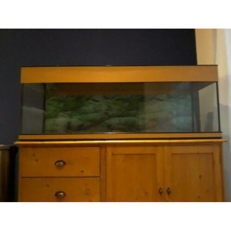 Aquarium 1,40m 250L