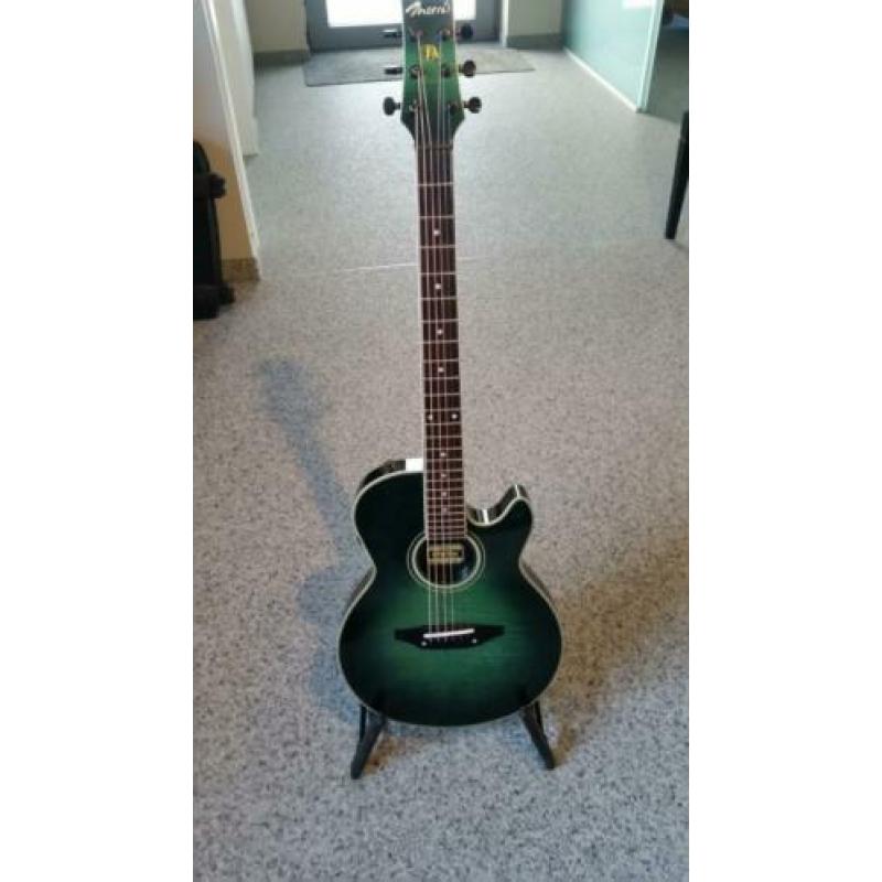 Morris powered acoustic guitar
