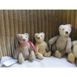 diverse steiff beren