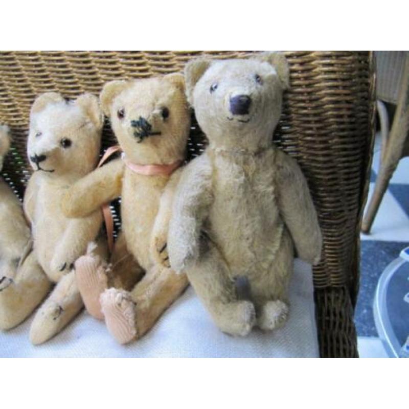diverse steiff beren