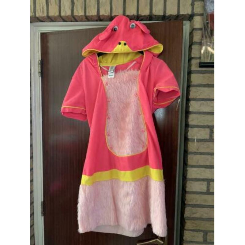 Carnavals kleding dames