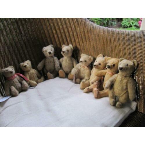 diverse steiff beren