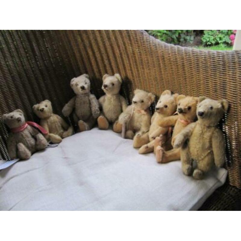 diverse steiff beren