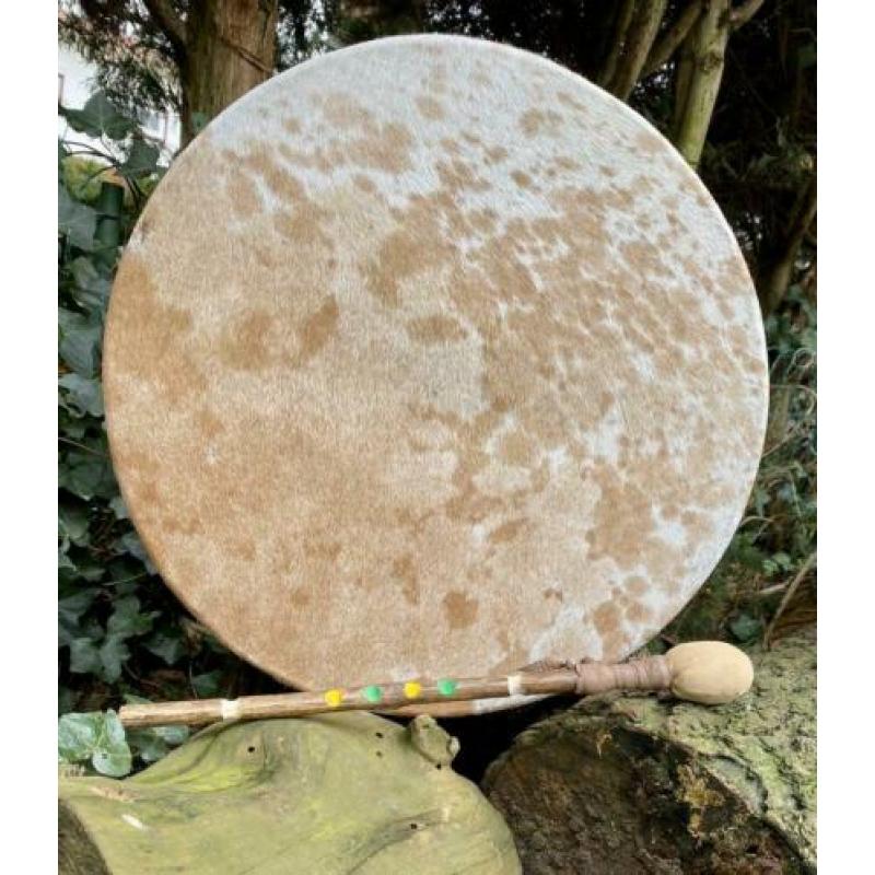 Sjamanendrum Koe 52 cm Native