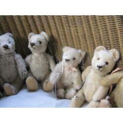 diverse steiff beren