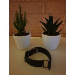 fitbit charge 2 incl lader en 7 bandjes