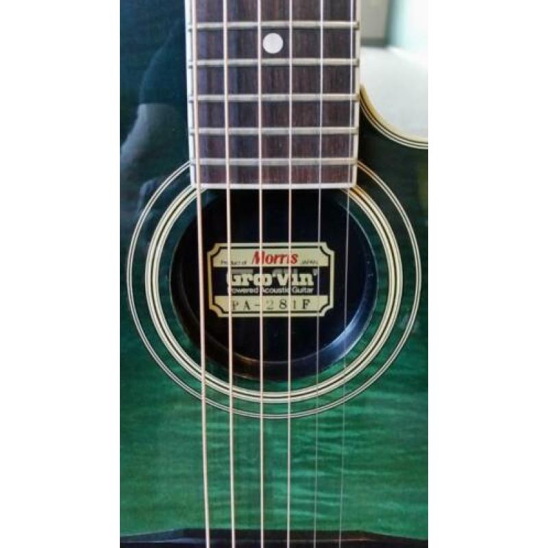 Morris powered acoustic guitar