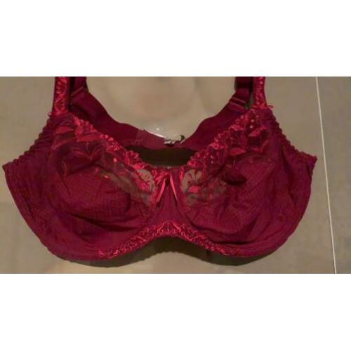 Prima Donna 100 C