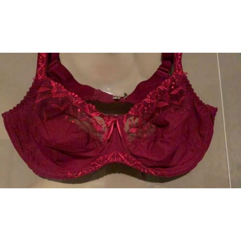 Prima Donna 100 C