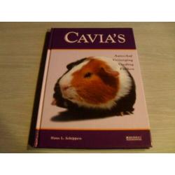 CAVIA ‘S – Aanschaf, Verzorging, Voeding, Fokken Voor iedere