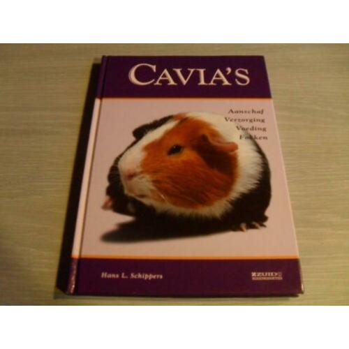 CAVIA ‘S – Aanschaf, Verzorging, Voeding, Fokken Voor iedere