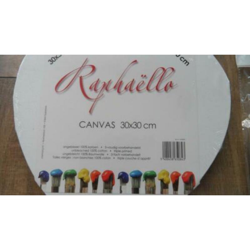 Schilderset Raphaello (canvas, pallet, olieverf en penselen)