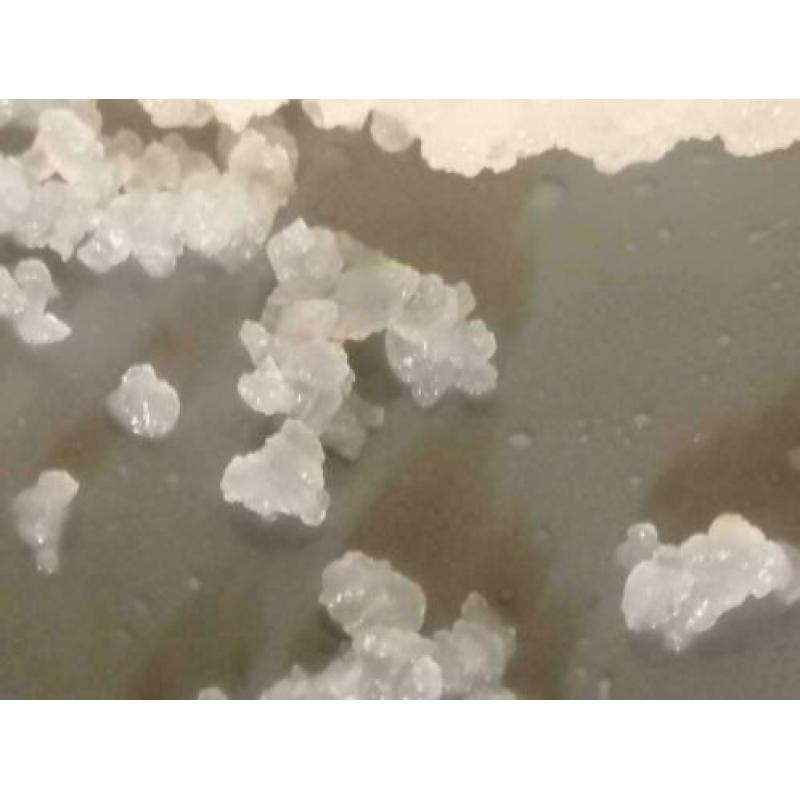 T.K 250 gr grote biologische Waterkefir / Waterkefir korrels
