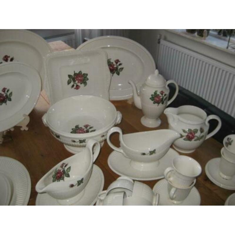 wedgwood moss rose ALS NIEUW