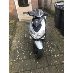 Speedficht
