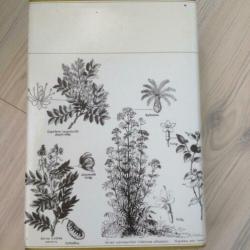 A modern herbal- M. Grieve