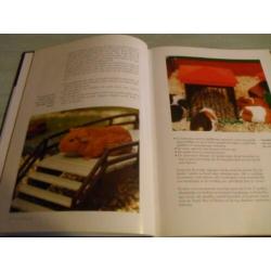 CAVIA ‘S – Aanschaf, Verzorging, Voeding, Fokken Voor iedere