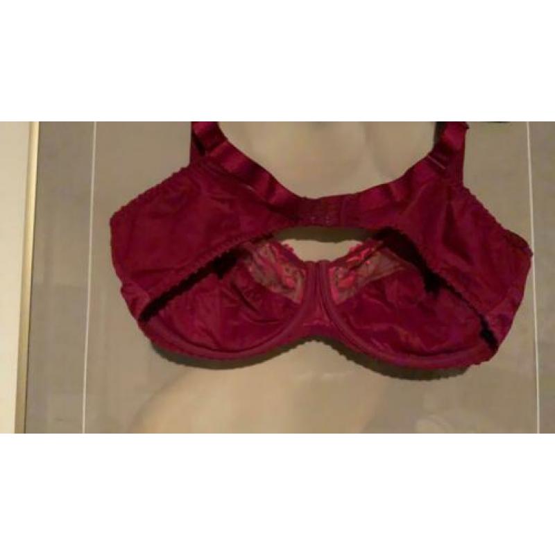 Prima Donna 100 C