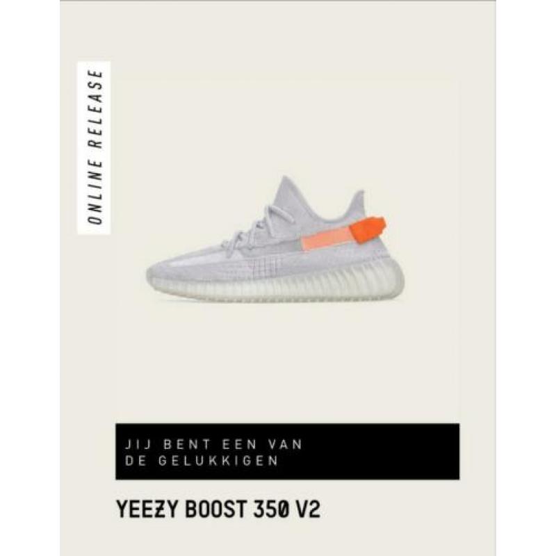 Yeezy 350 v2 Tail Light 42 2/3